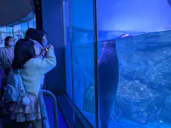 横浜・八景島シーパラダイス　プレジャーランドに投稿された画像（2026/4/4）