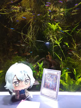 サケのふるさと 千歳水族館に投稿された画像（2026/4/4）