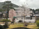 箱根ガラスの森美術館に投稿された画像（2026/4/4）