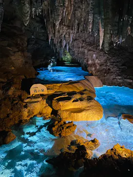 おきなわワールドに投稿された画像（2026/4/4）