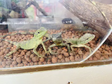 おきなわワールドに投稿された画像（2026/4/4）