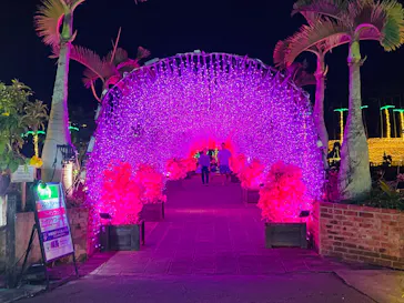 美らヤシパークオキナワ・東南植物楽園に投稿された画像（2026/4/4）