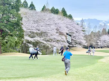 International Series Japanに投稿された画像（2026/4/4）