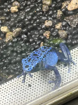 カワスイ 川崎⽔族館に投稿された画像（2026/4/4）