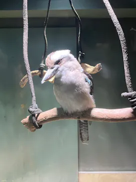 カワスイ 川崎⽔族館に投稿された画像（2026/4/4）