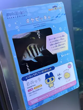 新江ノ島水族館に投稿された画像（2026/4/4）