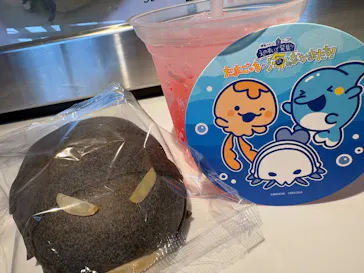 新江ノ島水族館に投稿された画像（2026/4/4）