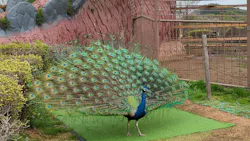 伊豆シャボテン動物公園に投稿された画像（2026/4/4）