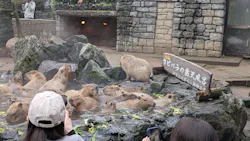 伊豆シャボテン動物公園に投稿された画像（2026/4/4）
