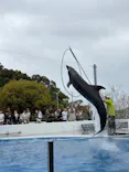九十九島水族館海きららに投稿された画像（2026/4/4）