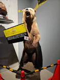 特別展「超危険生物展　科学で挑む生き物の本気」に投稿された画像（2026/4/4）