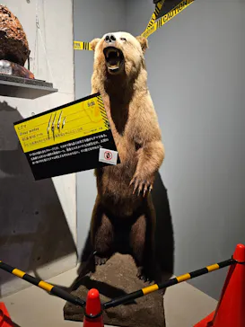 特別展「超危険生物展　科学で挑む生き物の本気」に投稿された画像（2026/4/4）
