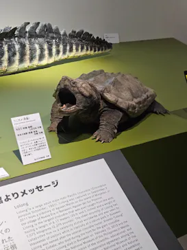 特別展「超危険生物展　科学で挑む生き物の本気」に投稿された画像（2026/4/4）
