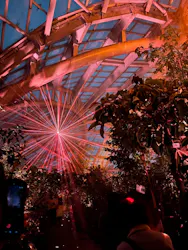 京都府立植物園　LIGHT CYCLES KYOTOに投稿された画像（2026/4/4）