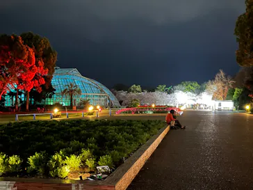 京都府立植物園　LIGHT CYCLES KYOTOに投稿された画像（2026/4/4）