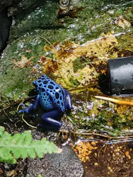 サンシャイン水族館に投稿された画像（2026/4/4）