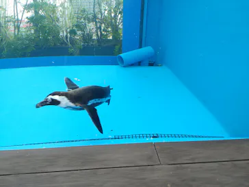 サンシャイン水族館に投稿された画像（2026/4/4）