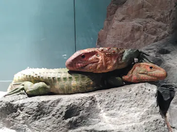 サンシャイン水族館に投稿された画像（2026/4/4）