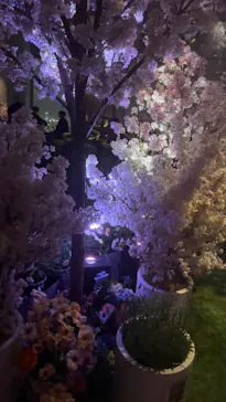 サンシャイン60展望台に投稿された画像（2026/4/4）