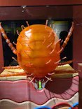 特別展「超危険生物展　科学で挑む生き物の本気」に投稿された画像（2026/4/4）