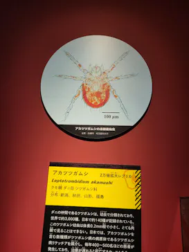 特別展「超危険生物展　科学で挑む生き物の本気」に投稿された画像（2026/4/4）