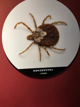 特別展「超危険生物展　科学で挑む生き物の本気」に投稿された画像（2026/4/4）
