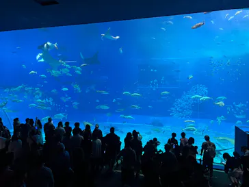 沖縄美ら海水族館に投稿された画像（2026/4/4）