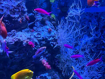 沖縄美ら海水族館に投稿された画像（2026/4/4）