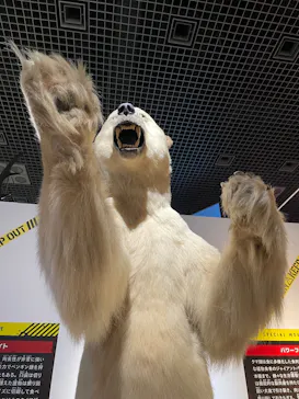 特別展「超危険生物展　科学で挑む生き物の本気」に投稿された画像（2026/4/4）