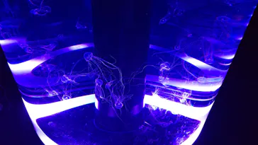 マクセル アクアパーク品川に投稿された画像（2026/4/4）