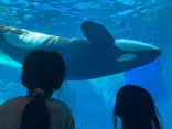 名古屋港水族館に投稿された画像（2026/4/4）