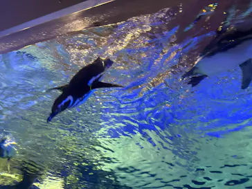 すみだ水族館に投稿された画像（2026/4/4）