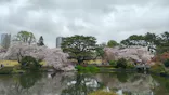 新宿御苑に投稿された画像（2026/4/4）