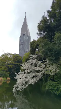 新宿御苑に投稿された画像（2026/4/4）