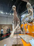 大絶滅展ー生命史のビッグファイブ（名古屋会場）に投稿された画像（2026/4/4）