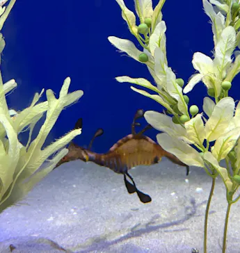 サンシャイン水族館に投稿された画像（2026/4/4）