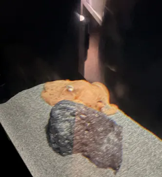 サンシャイン水族館に投稿された画像（2026/4/4）