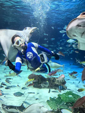 サンシャイン水族館に投稿された画像（2026/4/4）