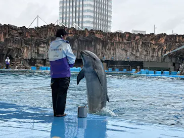 名古屋港水族館に投稿された画像（2026/4/4）