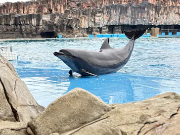 名古屋港水族館に投稿された画像（2026/4/4）