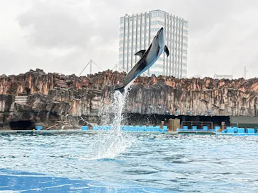 名古屋港水族館に投稿された画像（2026/4/4）