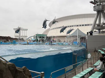 名古屋港水族館に投稿された画像（2026/4/4）