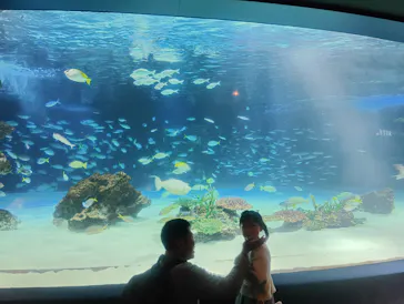 サンシャイン水族館に投稿された画像（2026/4/4）