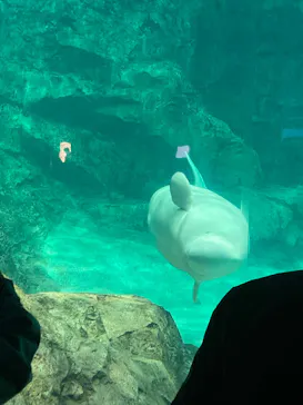 名古屋港水族館に投稿された画像（2026/4/4）