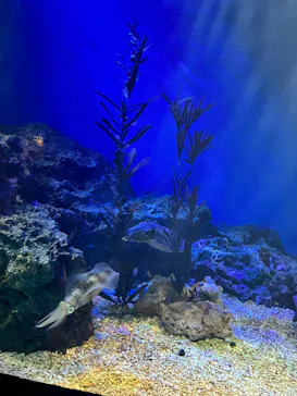 サンシャイン水族館に投稿された画像（2026/4/4）