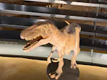 福井県立恐竜博物館に投稿された画像（2026/4/4）