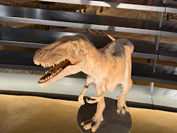 福井県立恐竜博物館に投稿された画像（2026/4/4）