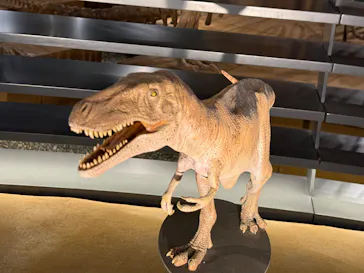 福井県立恐竜博物館に投稿された画像（2026/4/4）