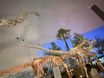福井県立恐竜博物館に投稿された画像（2026/4/4）