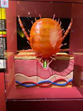 特別展「超危険生物展　科学で挑む生き物の本気」に投稿された画像（2026/4/5）